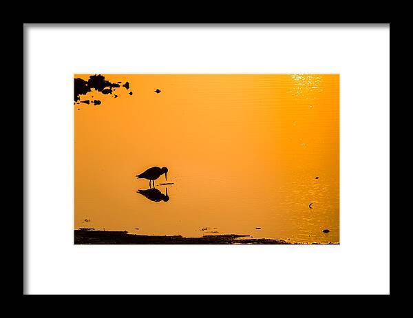 Beach Framed Print featuring the photograph Breakfast by Craig Szymanski