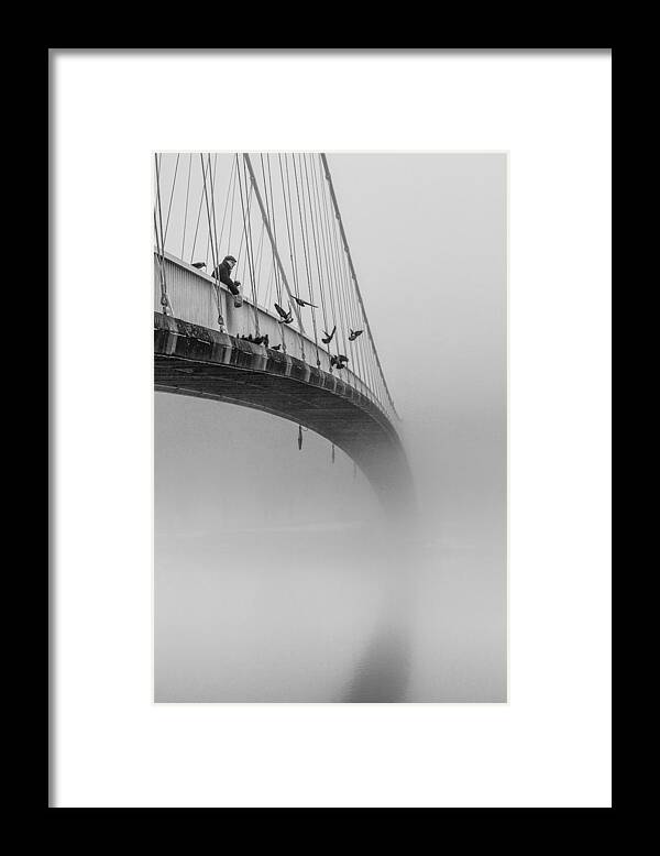 Bridge Framed Print featuring the photograph Breakfast Time by Krunoslav