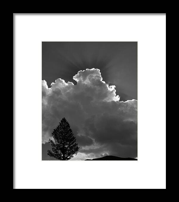 Black & White Framed Print featuring the photograph Breaking Out by Sandra Bronstein