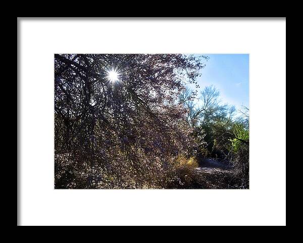 Arizona Framed Print featuring the photograph Breakthrough by Judy Kennedy