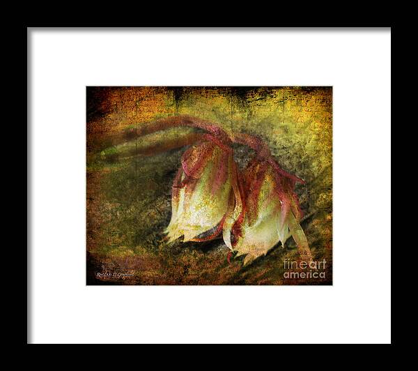 Flowers Framed Print featuring the digital art Breath of Life by Rhonda Strickland