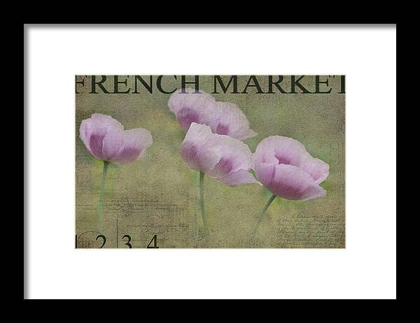 Anemones Framed Print featuring the photograph Breezy Anemones by Rebecca Cozart