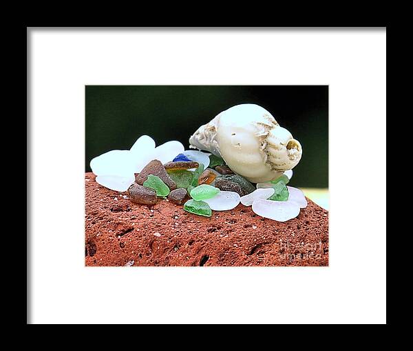 Brick Framed Print featuring the photograph Weathered Brick Glass and Shell by Janice Drew