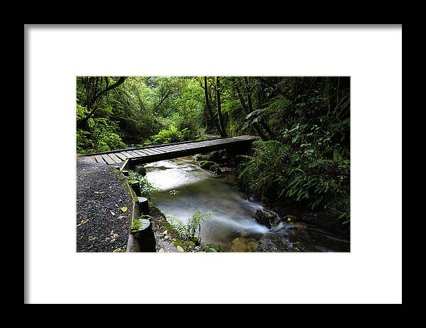 Pathway Framed Print featuring the photograph Bridge in forest by Les Cunliffe