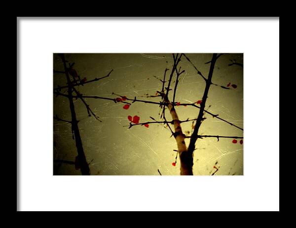 Leaves Framed Print featuring the photograph Bridge by Mark Ross