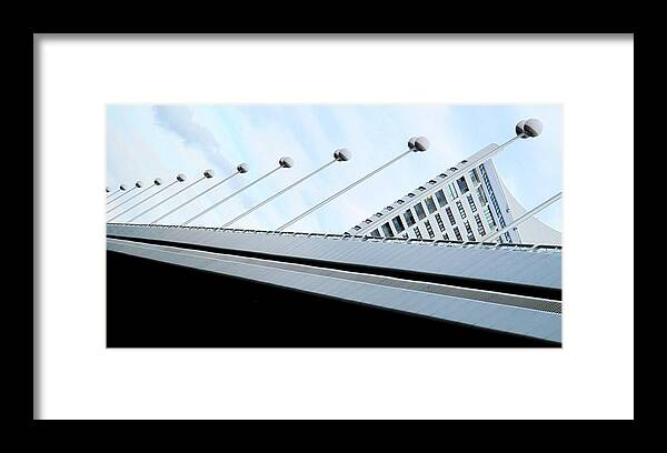 Vienna Framed Print featuring the photograph Bridge Over The Danube by Ian MacDonald