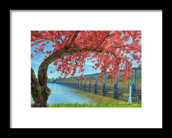 Riverfront Park Framed Print featuring the photograph Beautiful Blossoms by Geoff Crego