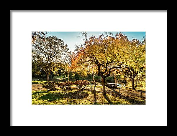  Framed Print featuring the photograph Bright Days by Julio Granados