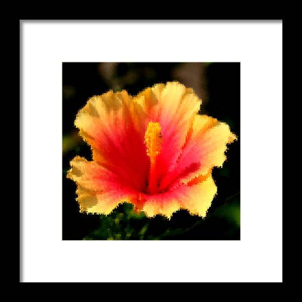 Hibiscus Framed Print featuring the photograph Bright Hibiscus by Diane Merkle