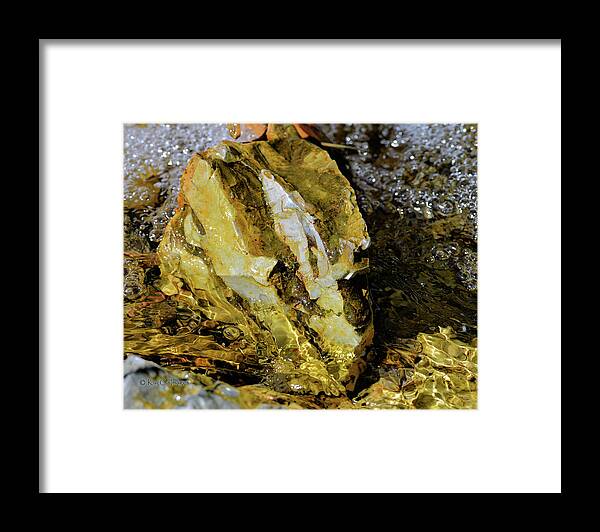 Rock Framed Print featuring the photograph Bright Rock in Stream by Kae Cheatham