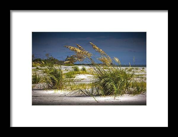 Cove Framed Print featuring the photograph Bright Shore by Marvin Spates