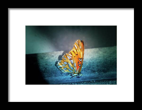 Butterfly Framed Print featuring the digital art Bright Wings by Terry Davis