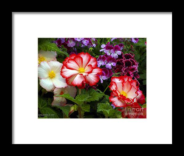 Washington Framed Print featuring the photograph Brightens Your Day by Larry Keahey