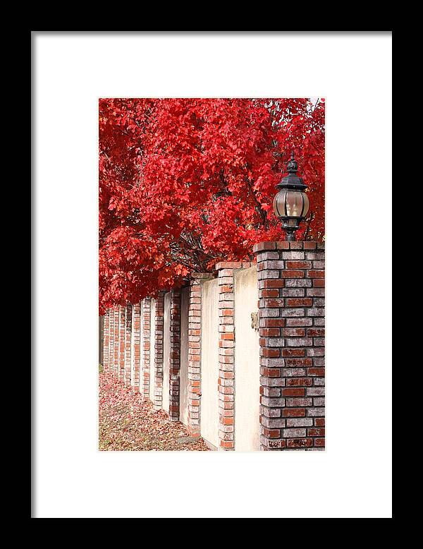 Fall Framed Print featuring the photograph Brilliant Fall by Jeff Floyd CA