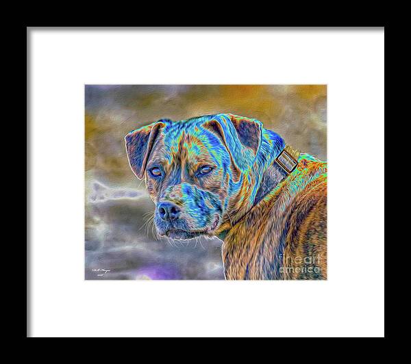 Dog Framed Print featuring the digital art Bulldog by DB Hayes