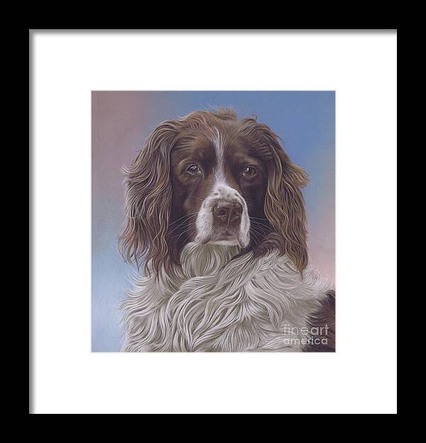 Springer Spaniel Framed Print featuring the painting Brodie by Karie-ann Cooper
