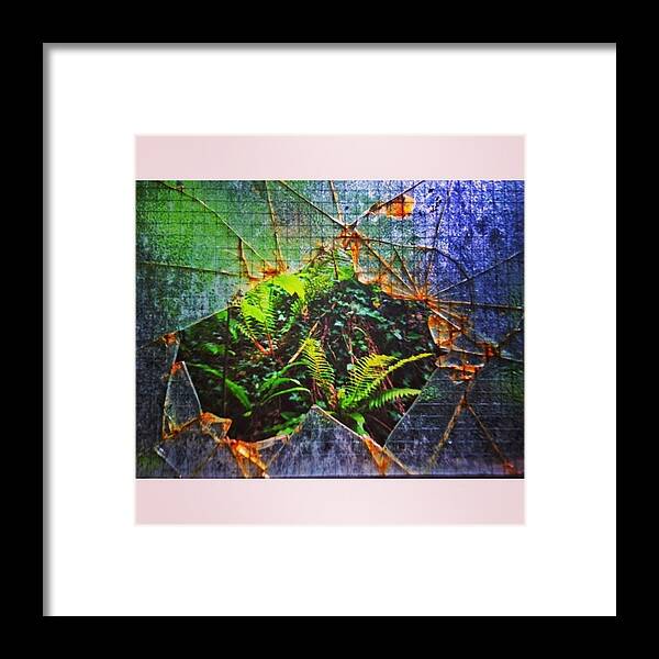 Lfl Framed Print featuring the photograph Broken 
#glass #smashed #window by Tai Lacroix
