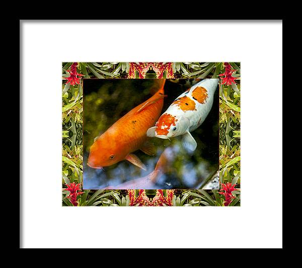 Nature Photos Framed Print featuring the photograph Bromeliad Koi by Bell And Todd