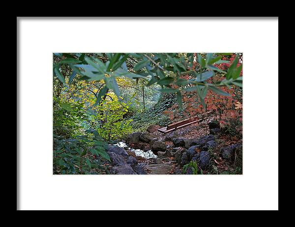 Landscape Framed Print featuring the photograph Brookside Hideaway by Michele Myers