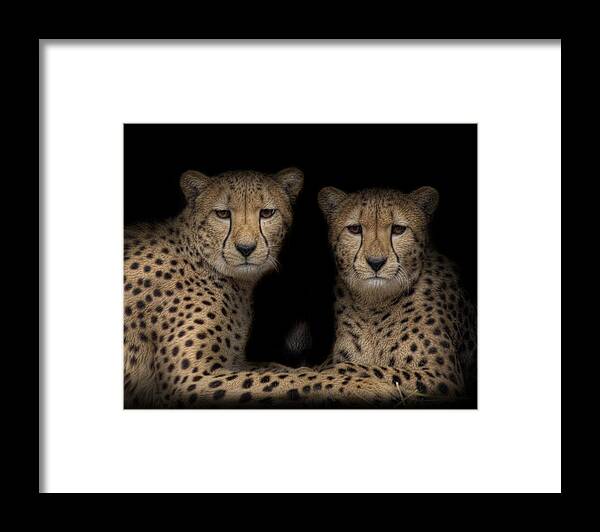  Framed Print featuring the photograph Brothers by Cheri McEachin