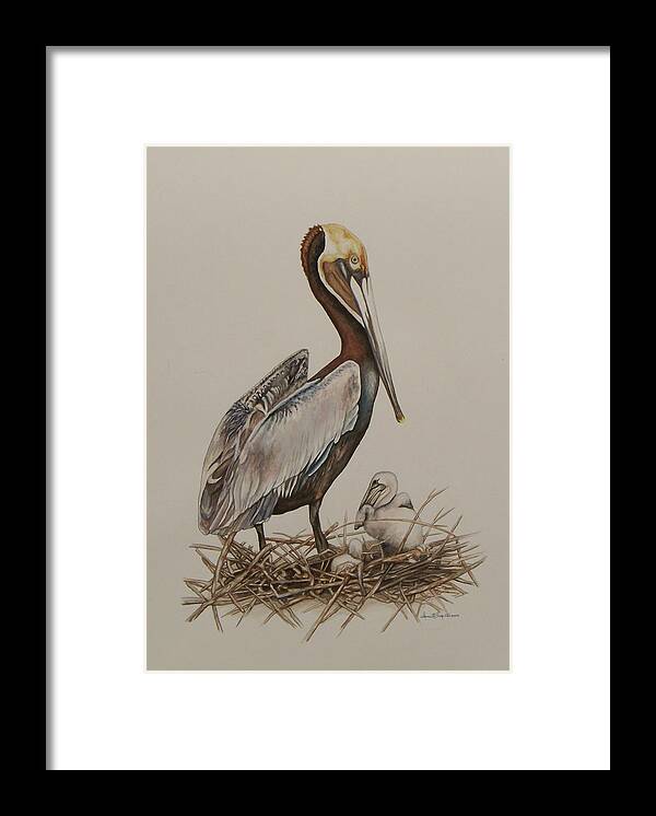 Borwn Pelican Framed Print featuring the painting Brown Pelican and Chicks by Laurie Tietjen