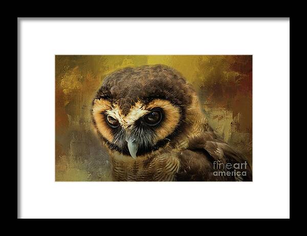 Brown Wood Owl Framed Print featuring the photograph Brown Wood Owl by Eva Lechner