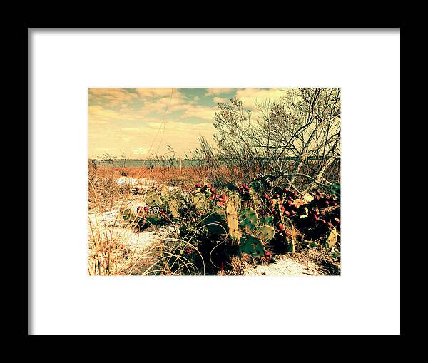 Mighty Sight Studio Framed Print featuring the photograph Brush Work by Steve Sperry