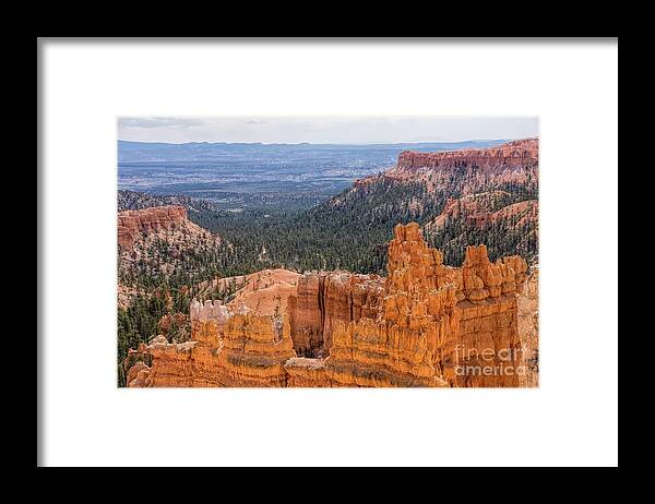Bryce Framed Print featuring the photograph Bryce Canyon in Spring by Peggy Hughes