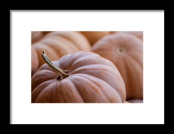 Abundance Framed Print featuring the photograph Buckskin Pumpkin by Brian Green