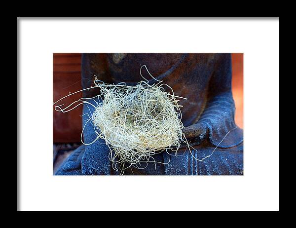  Spiritual Framed Print featuring the photograph Buddah's Nest by Heather S Huston