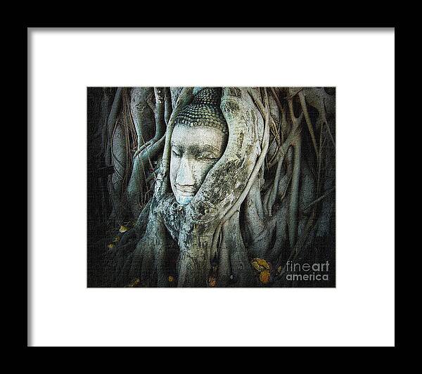 Tree Framed Print featuring the photograph Buddha Head by Eena Bo