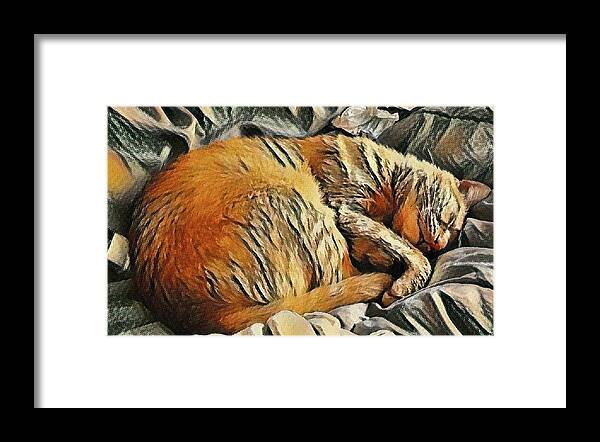 Cat Framed Print featuring the mixed media Buddy the Cat Napping Art Print by Stacie Siemsen