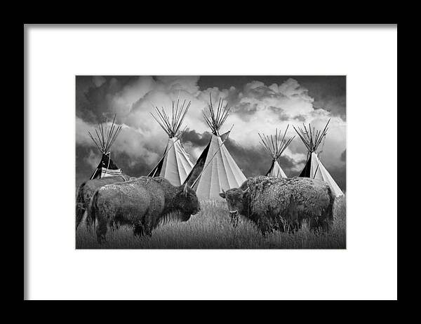 Native Framed Print featuring the photograph Buffalo Herd among Teepees of the Blackfoot Tribe by Randall Nyhof