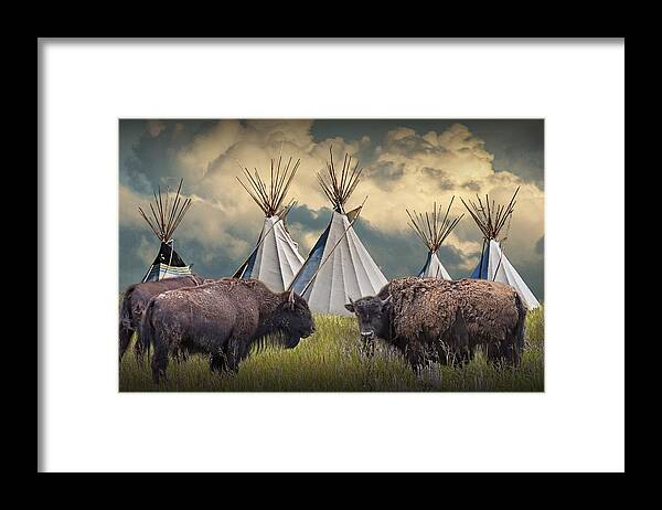 Native Framed Print featuring the photograph Buffalo Herd on the Reservation by Randall Nyhof