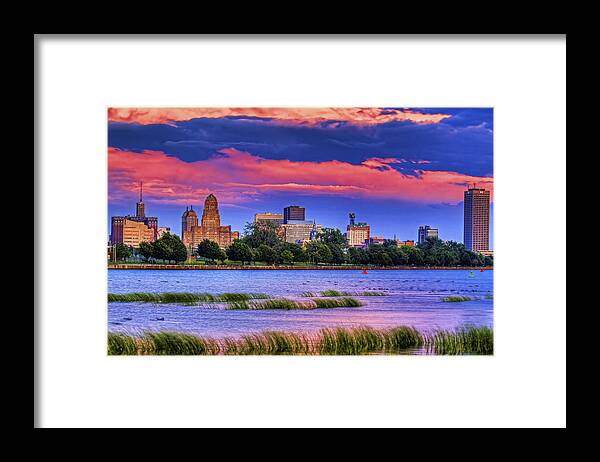 Buffalo Framed Print featuring the photograph Buffalo In Pastels by Don Nieman