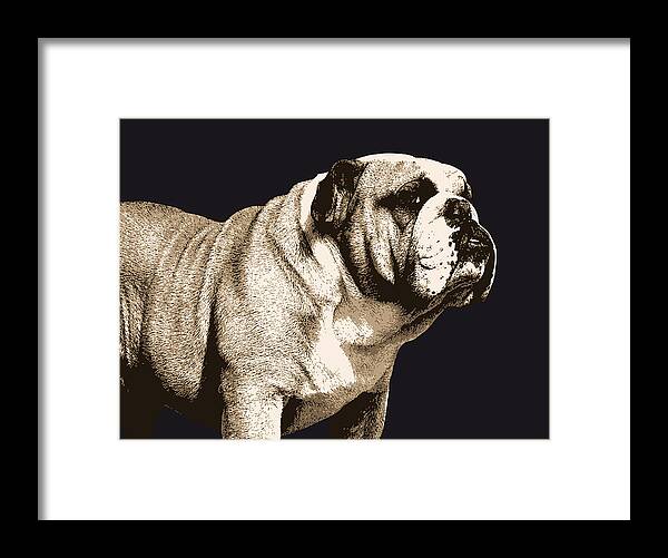 Bulldog Framed Print featuring the digital art Bulldog Spirit by Michael Tompsett