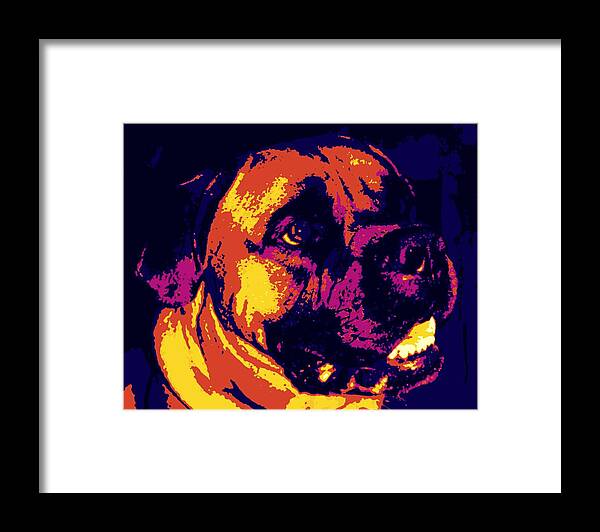 Dog Framed Print featuring the photograph Bullmastiff by Sheri Parris