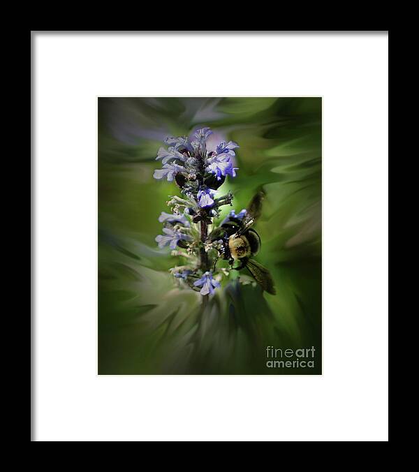 Nature Framed Print featuring the photograph Bumble Bee On Flower by Smilin Eyes Treasures