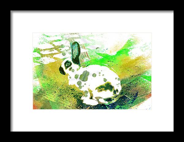Photo Framed Print featuring the photograph Bunny by Jutta Maria Pusl
