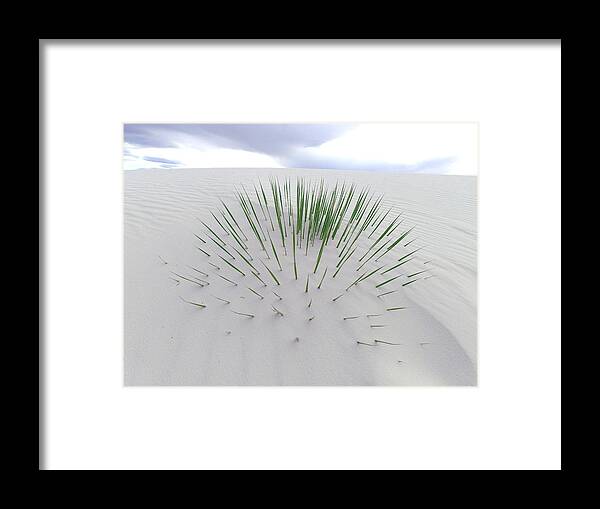 Cactus Framed Print featuring the photograph Buried by Christopher Brown