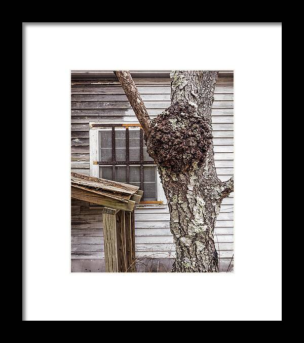 Old Framed Print featuring the photograph Burl and Window by Frank Winters