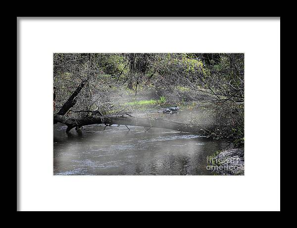 Nature Framed Print featuring the photograph Burning Off by Skip Willits