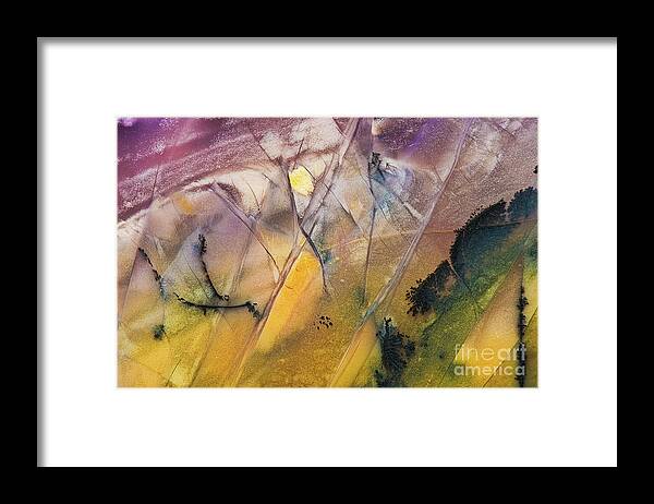 Burro Creek Agate Framed Print featuring the photograph Burro Creek Agate abstract RO8759 by Mark Graf