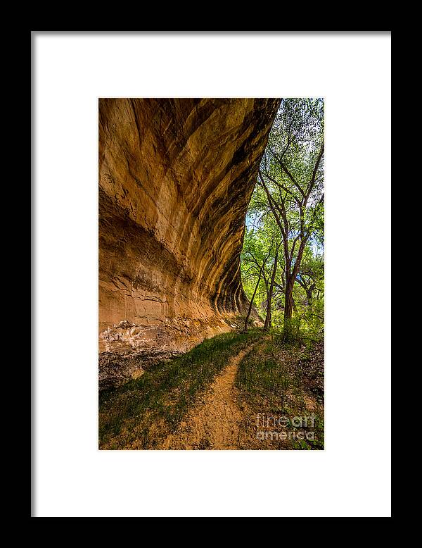 Utah Framed Print featuring the photograph Butler Wash Wave Formation - Blanding - Utah by Gary Whitton