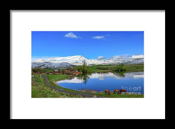 Ranch Framed Print featuring the photograph Butte Farm After Spring Snow by Robert Bales