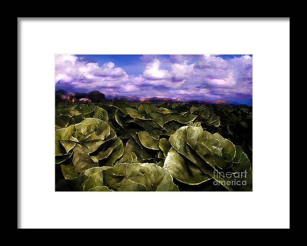 Lettuce Framed Print featuring the digital art Butter Lettuce in Yuma by Lisa Redfern