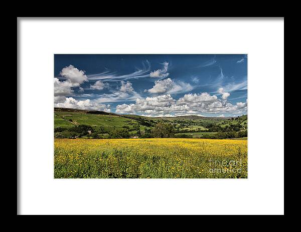 Wild Buttercups Framed Print featuring the photograph Summer Buttercup Meadows by Sandra Cockayne ADPS