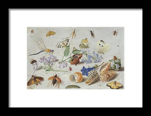 Butterflies And Other Insects Framed Print featuring the painting Butterflies and other Insects, 1661 by Jan Van Kessel