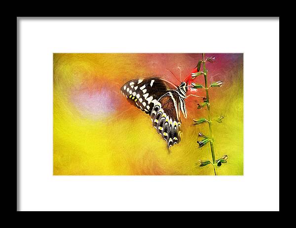 Flower Framed Print featuring the painting Butterflies are self propelled flowers by Ches Black
