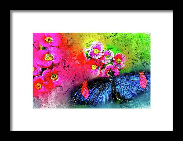 Butterfly Framed Print featuring the photograph Butterfly Color Explosion by Kay Brewer
